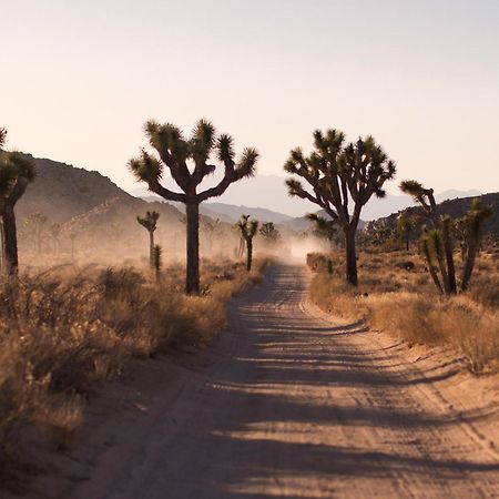 Modern Desert Dream - New Build Twentynine Palms Dış mekan fotoğraf
